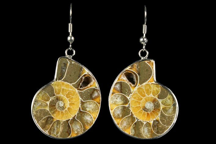 Fossil Ammonite Earrings - Million Years Old #152016